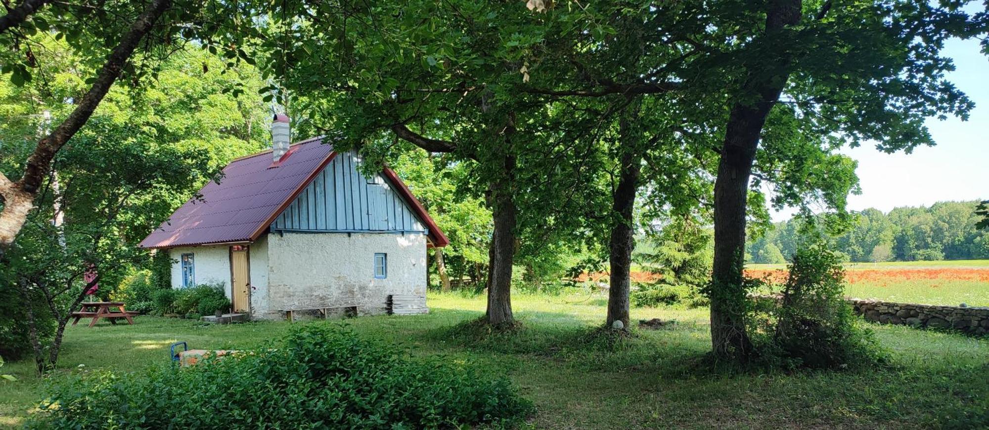 Гостевой дом Viini Puhkemaja Mustjala Экстерьер фото